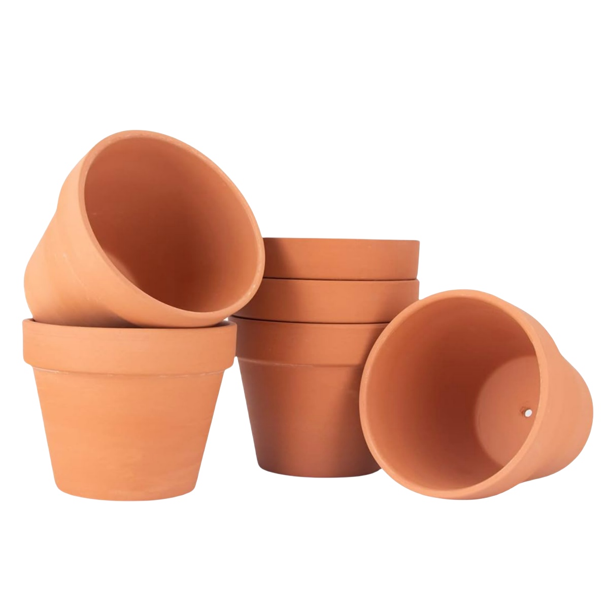 Cactus Mix Pot - Macetas de terracota de 4 pulgadas,