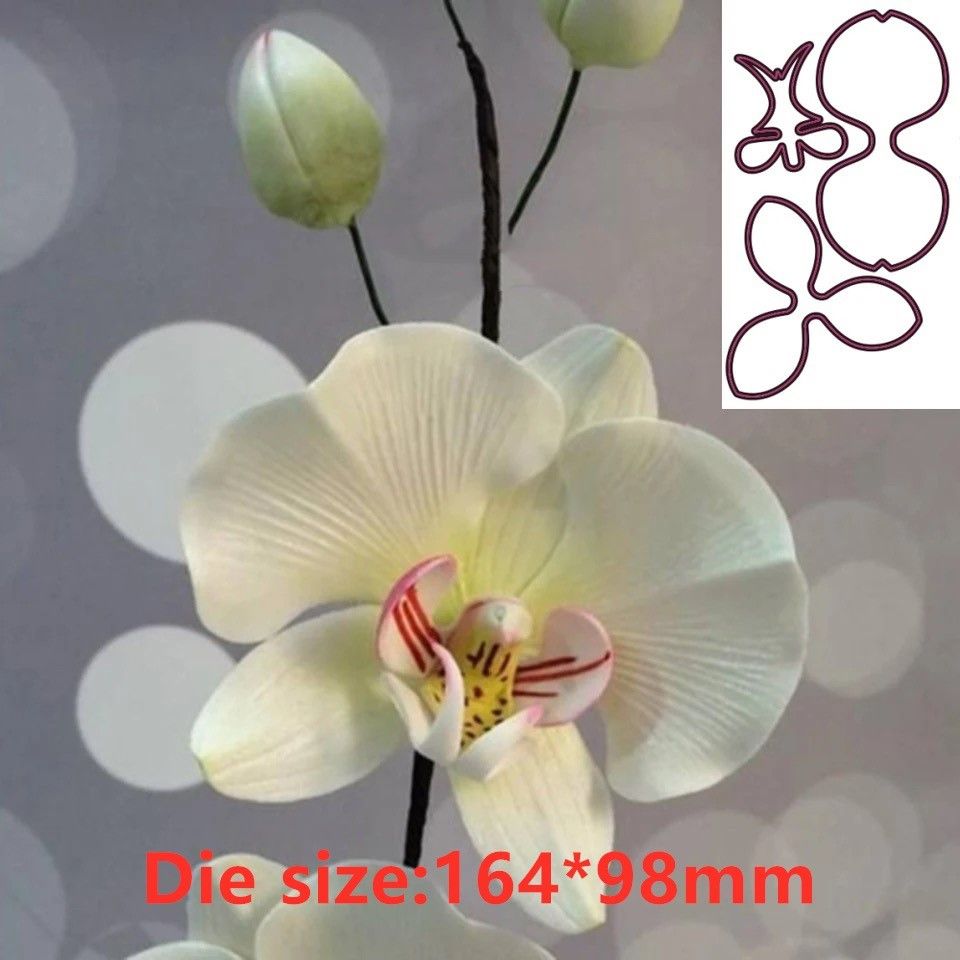 Orchid Phalaenopsis - Plantillas de corte de Metal con
