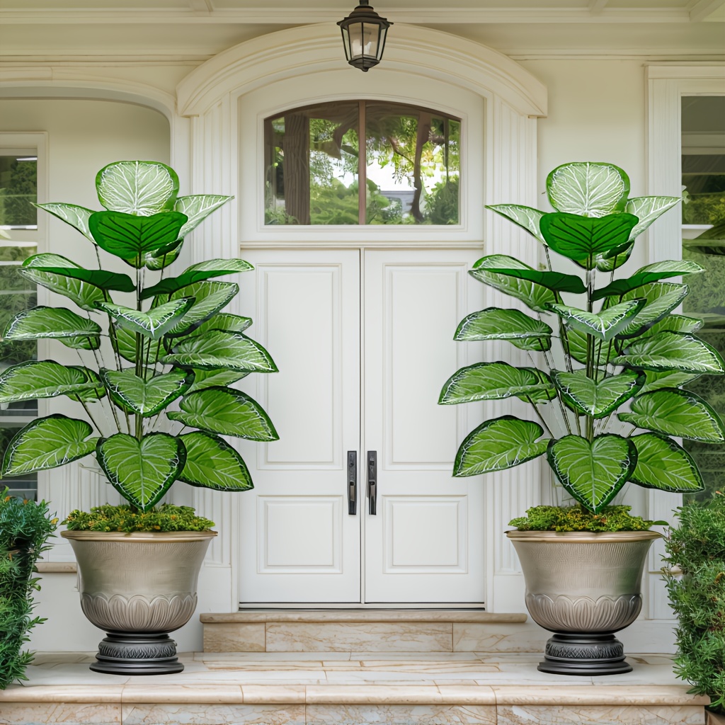 Fiddle Leaf Fig - Una cocina de plantas frescas verdes