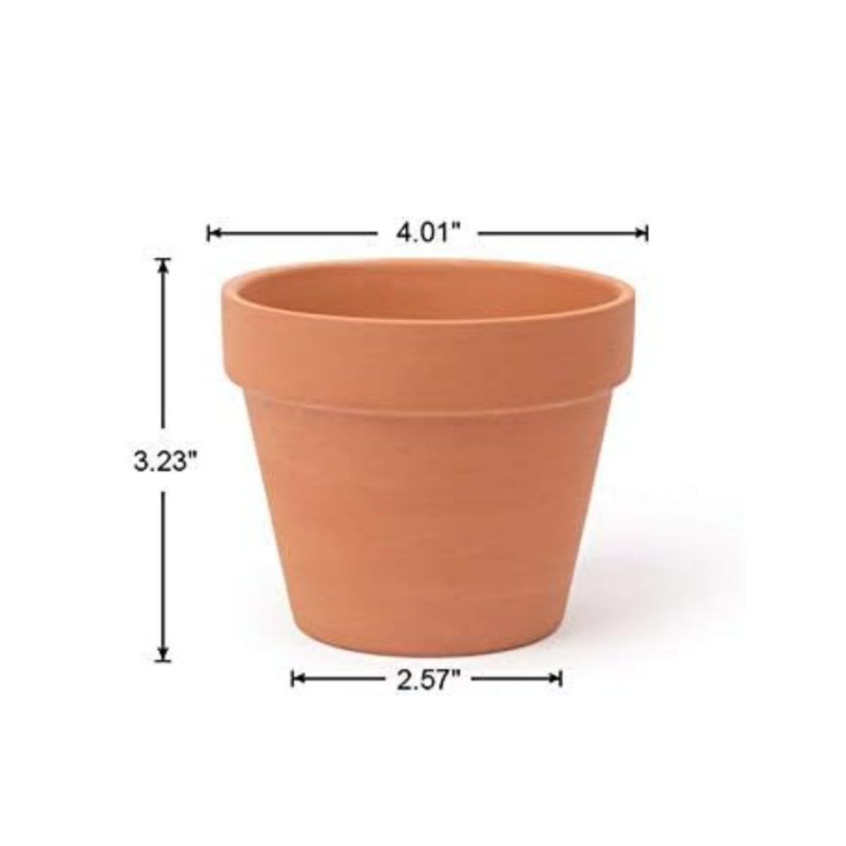Macetas de terracota de 4 pulg - Cactus Mix Pot reseña y precio