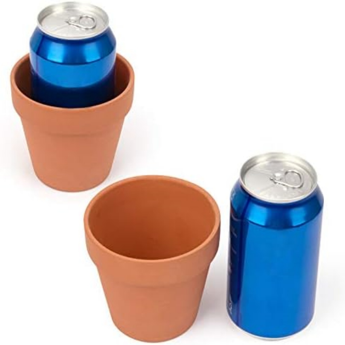 Macetas de terracota de 4 pulg - Cactus Mix Pot reseña y precio