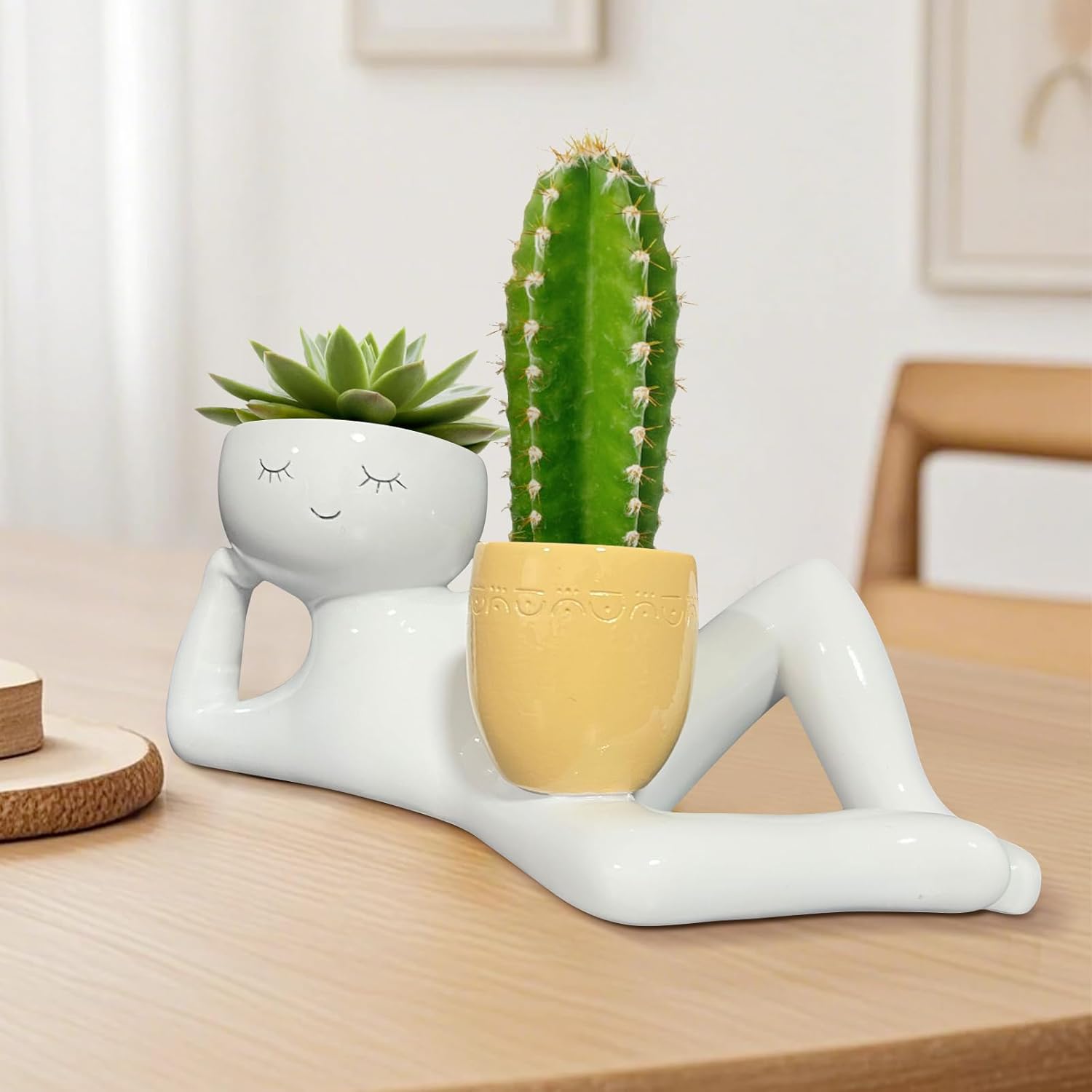 Maceta Divertida con Diseño de - Cactus Mix Pot reseña y precio