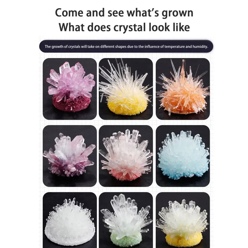 Conjunto de experimentos cient - Plant Parent Contact reseña y precio