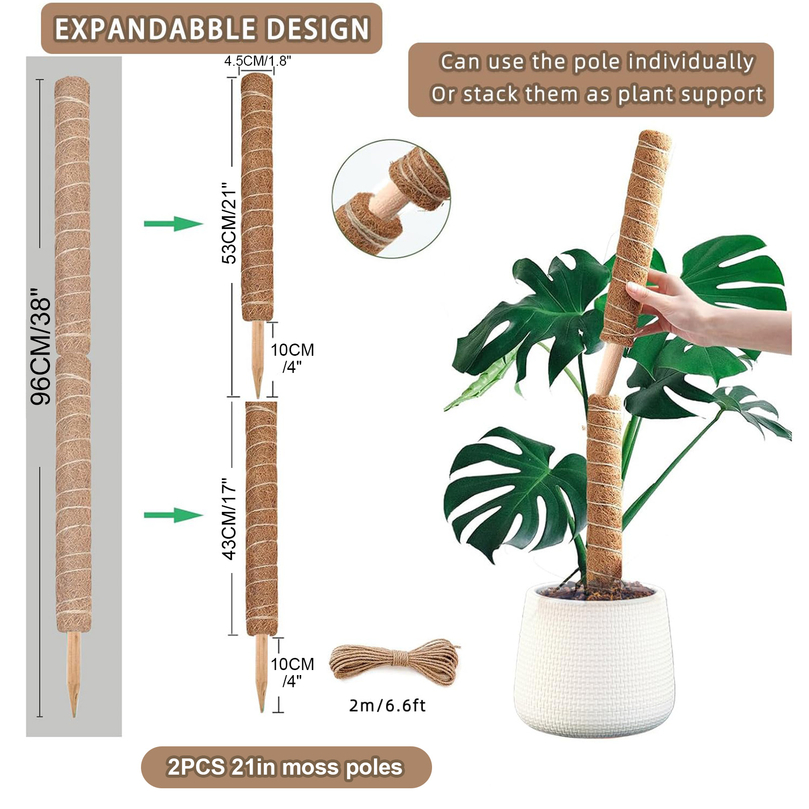 Poste de musgo Monstera de 38/ - Monstera Thai Constellation reseña y precio