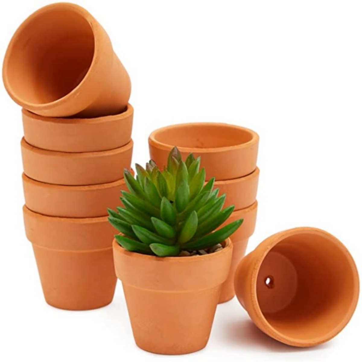 16 Uds. Macetas de cabaña de 1 - Cactus Mix Pot reseña y precio