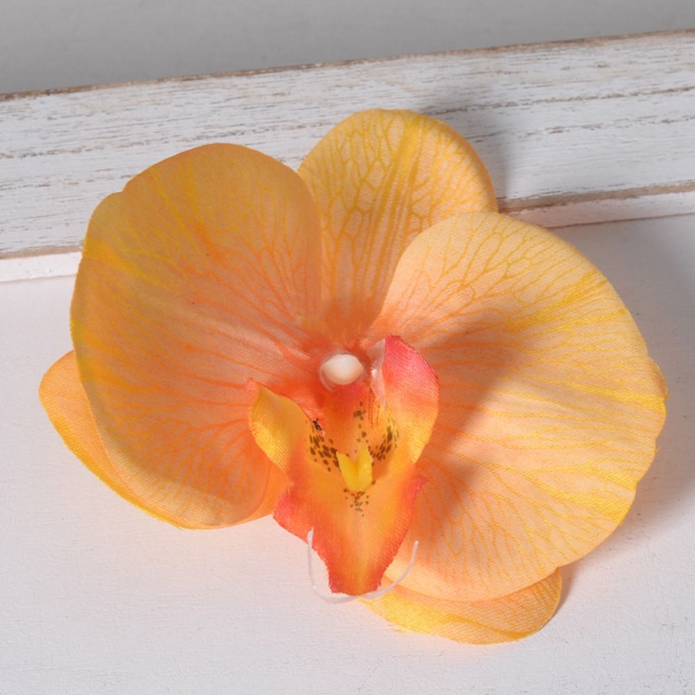 Cabeza de Flor de Phalaenopsis - Orchid Phalaenopsis reseña y precio