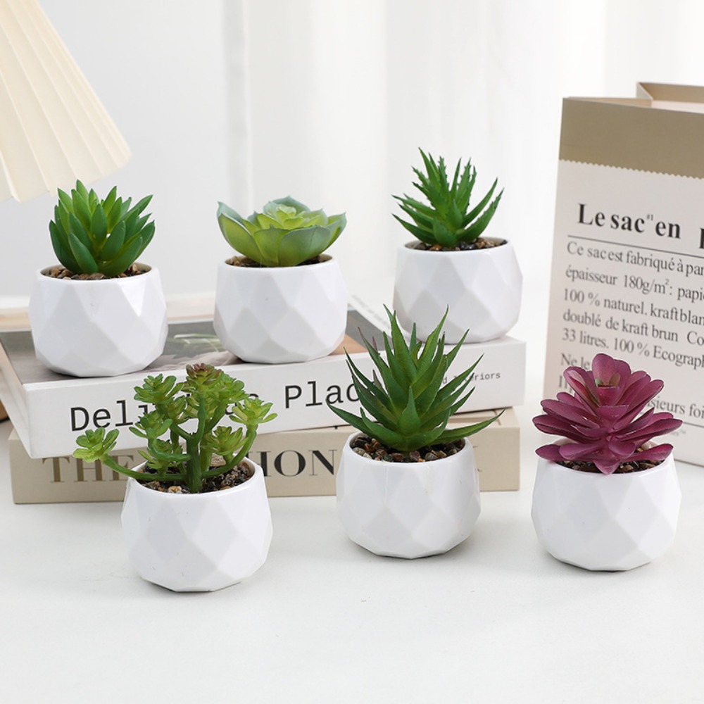 Plantas Artificiales de Simula - Cactus Mix Pot reseña y precio