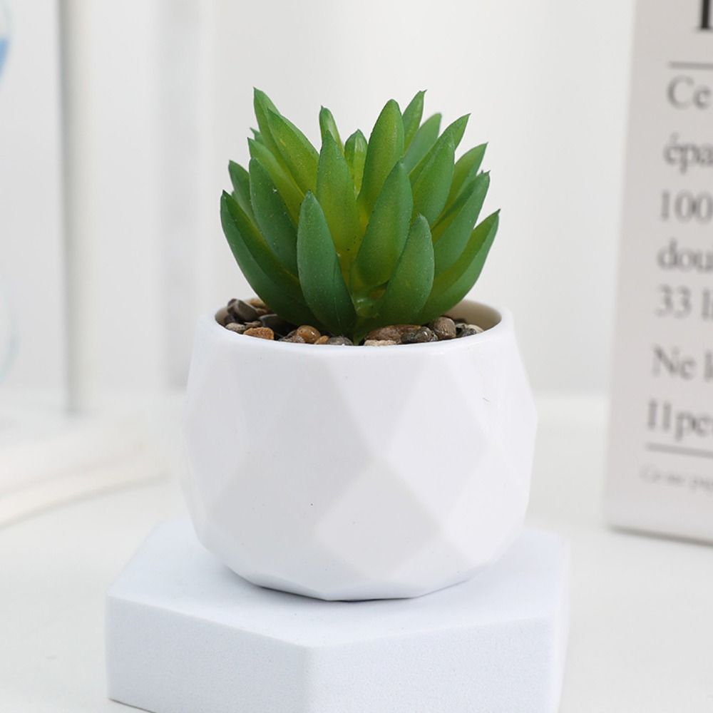 Plantas Artificiales de Simula - Cactus Mix Pot reseña y precio