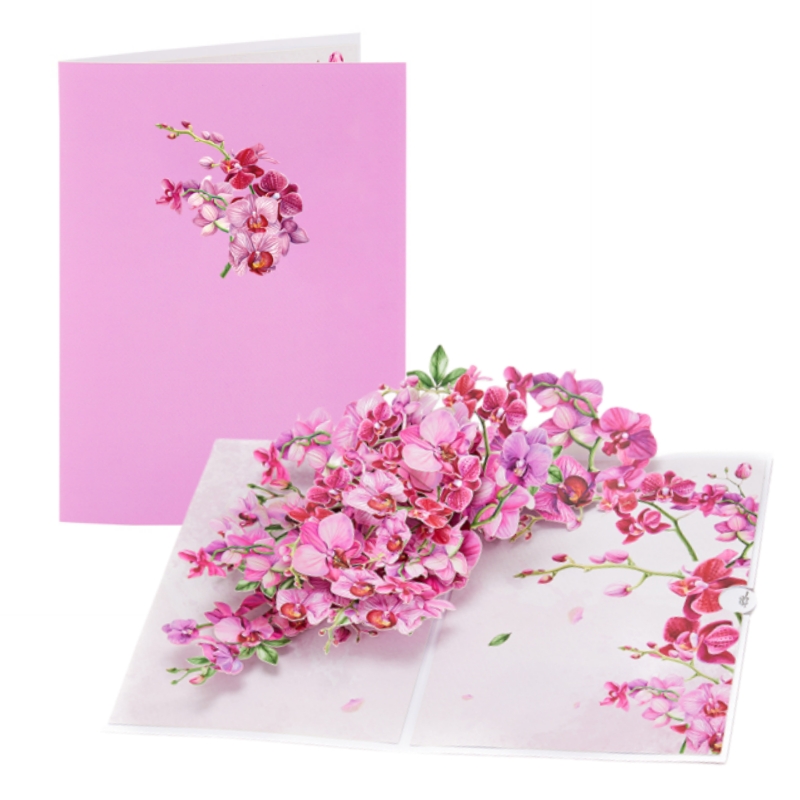 Tarjeta de felicitación emerge - Orchid Phalaenopsis reseña y precio