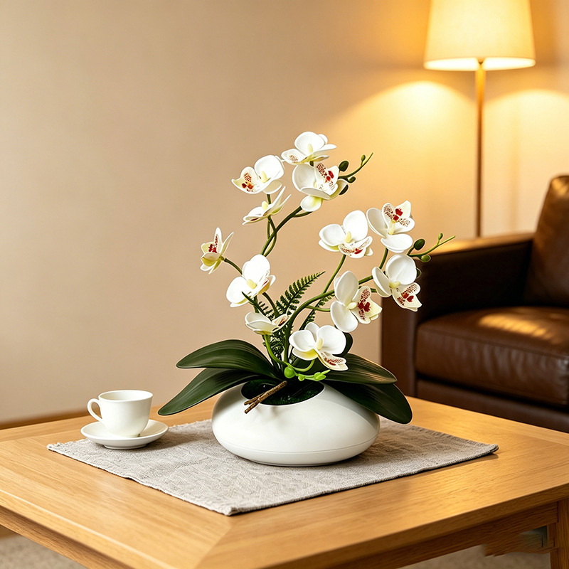 Orquídea Mariposa, Bonsái de 1 - Orchid Phalaenopsis reseña y precio