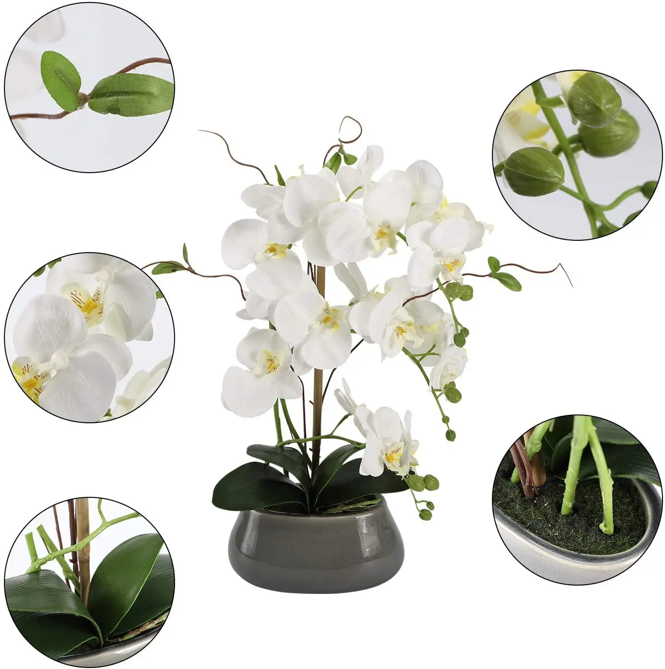 Centros de mesa de flores de o - Orchid Phalaenopsis reseña y precio