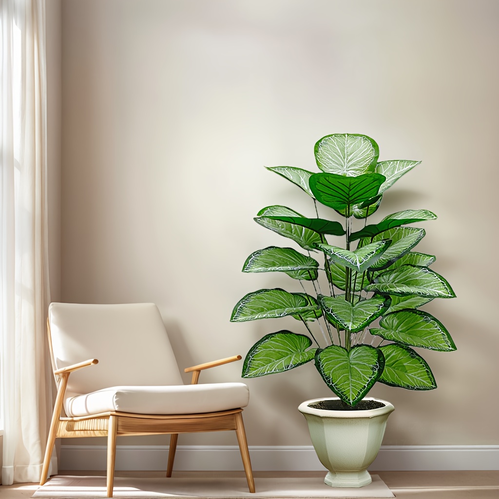 Una cocina de plantas frescas  - Fiddle Leaf Fig reseña y precio