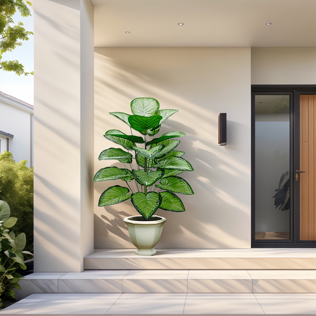 Una cocina de plantas frescas  - Fiddle Leaf Fig reseña y precio