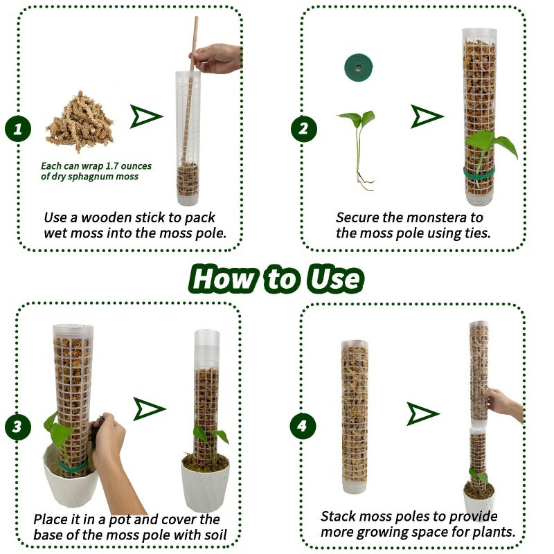 1/2/3 Piezas Columna de Musgo  - Monstera Thai Constellation reseña y precio