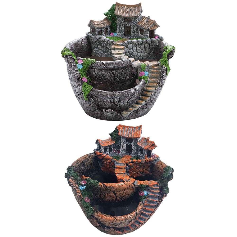 Maceta para Suculentas, Maceta - Cactus Mix Pot reseña y precio