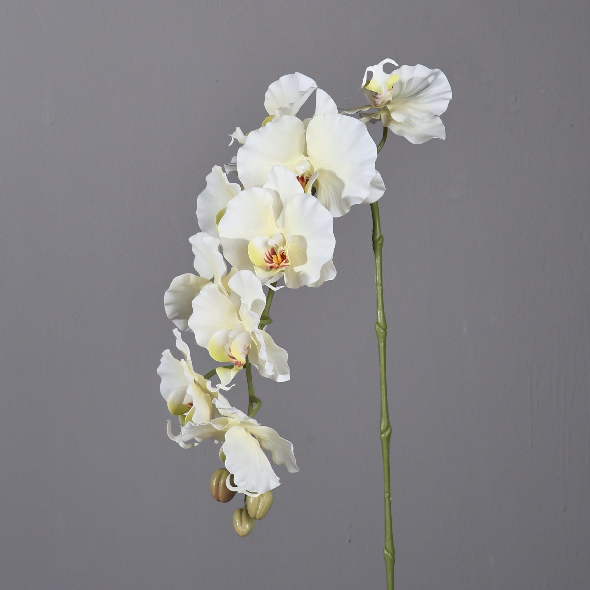 Phalaenopsis Artificial de est - Orchid Phalaenopsis reseña y precio