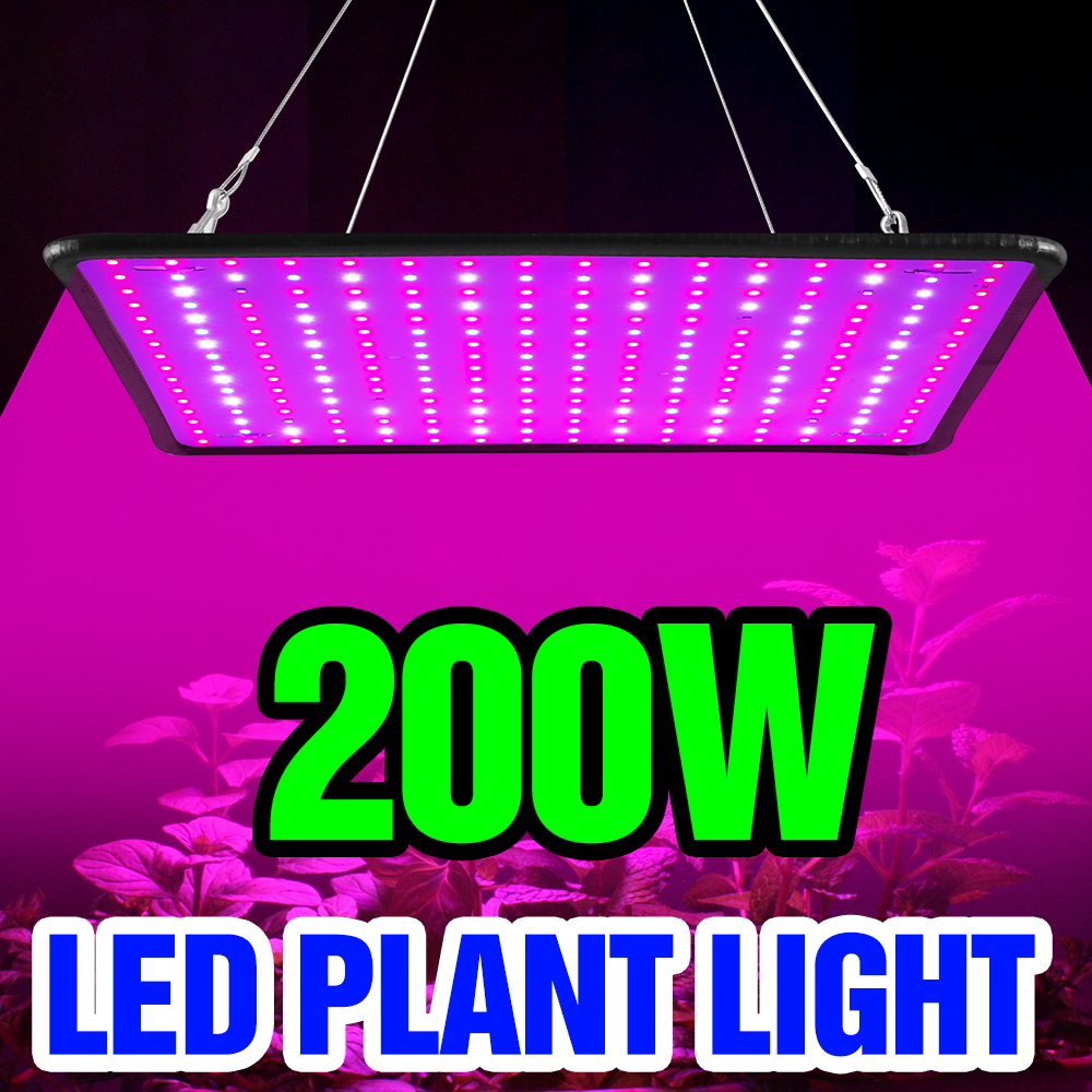 Lámpara LED Quantum Board de 2 - Cactus Mix Pot reseña y precio