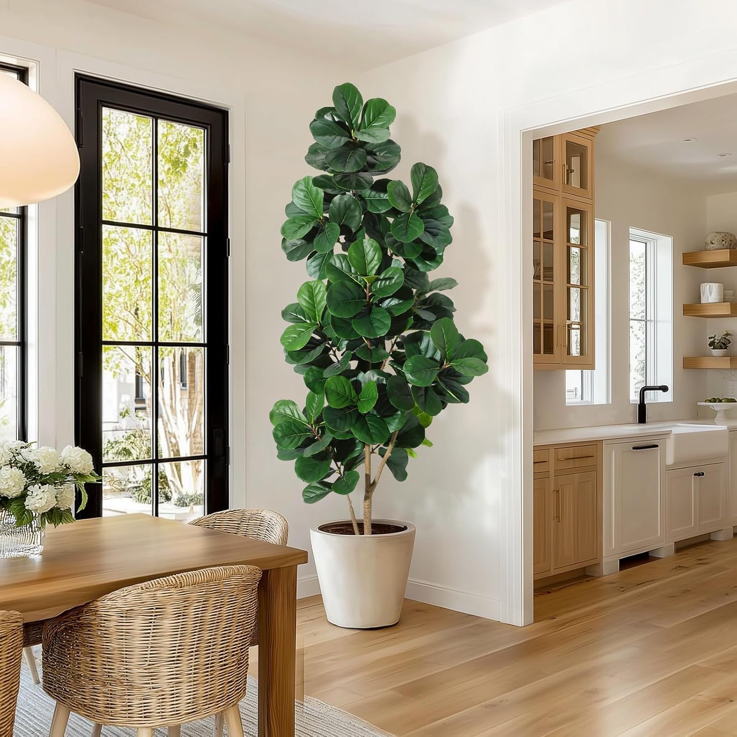 Árbol de higo de hoja de violí - Fiddle Leaf Fig reseña y precio