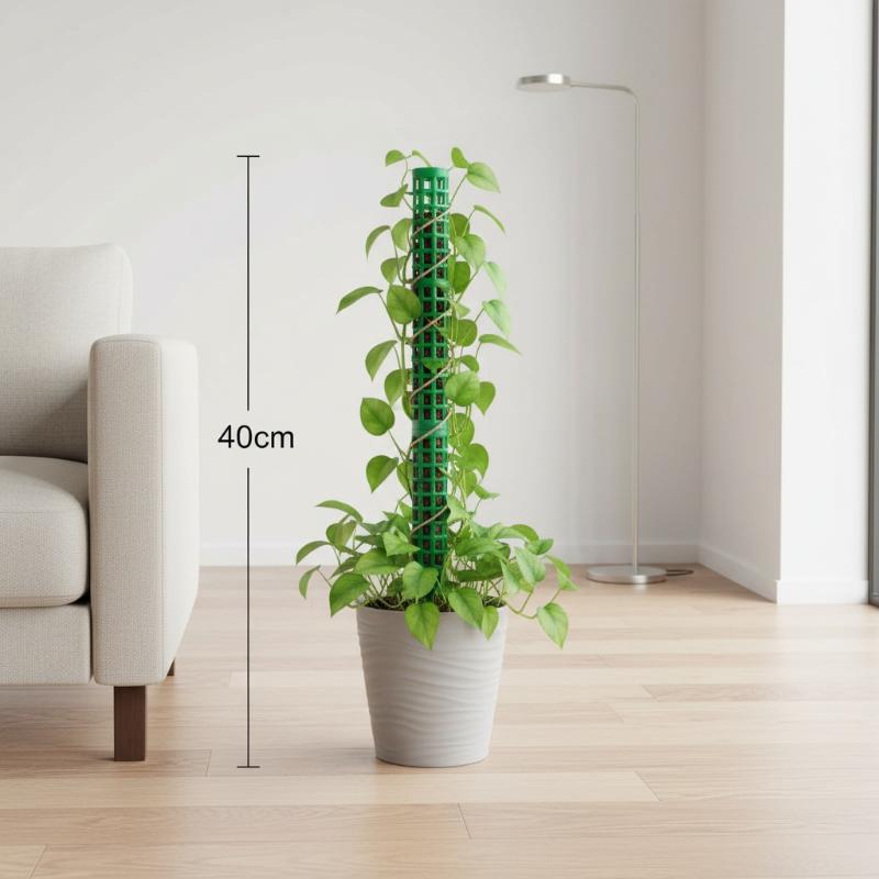 Soporte para Plantas Trepadora - Monstera Thai Constellation reseña y precio
