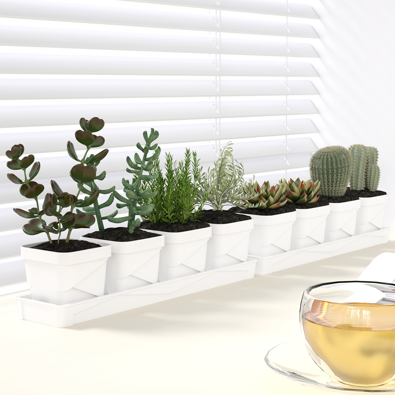 Maceta nórdica minimalista par - Cactus Mix Pot reseña y precio